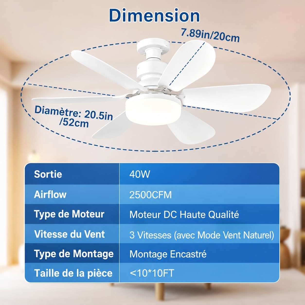 Ventilateur de Plafond avec Lumière LED Dimmable